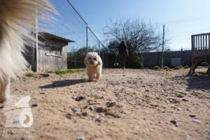 Hutamix-25-03-w24-064