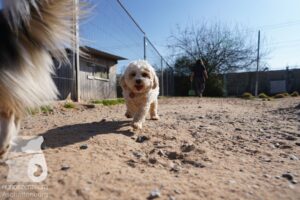 Hutamix-25-03-w24-065