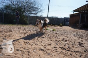 Hutamix-25-03-w24-066