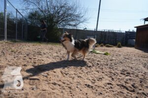 Hutamix-25-03-w24-067