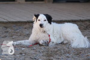 Hutamix-25-03-w24-068