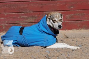 Hutamix-25-03-w24-069