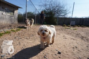 Hutamix-25-03-w24-070