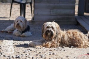 Hutamix-25-03-w24-071