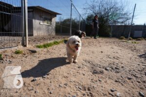 Hutamix-25-03-w24-072