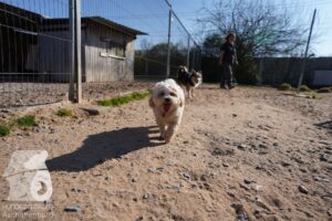 Hutamix-25-03-w24-073