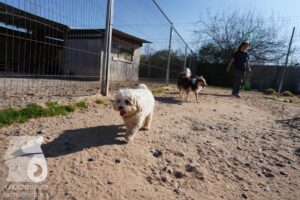 Hutamix-25-03-w24-074