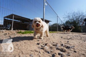 Hutamix-25-03-w24-075