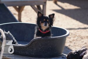 Hutamix-25-03-w24-076