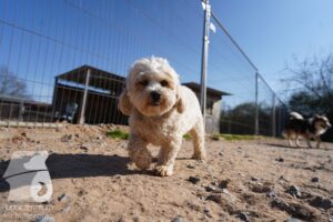 Hutamix-25-03-w24-077