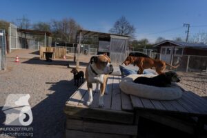 Hutamix-25-03-w24-078