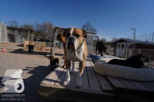 Hutamix-25-03-w24-079