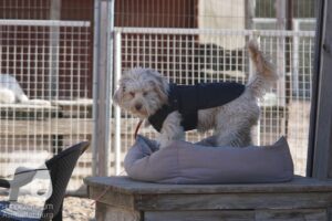 Hutamix-25-03-w24-080