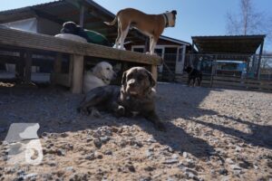 Hutamix-25-03-w24-081