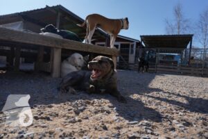 Hutamix-25-03-w24-082