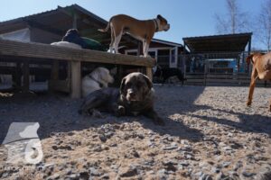 Hutamix-25-03-w24-083