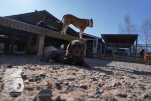 Hutamix-25-03-w24-084