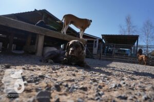 Hutamix-25-03-w24-085