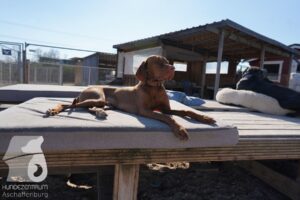 Hutamix-25-03-w24-086