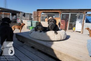 Hutamix-25-03-w24-087