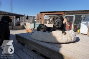 Hutamix-25-03-w24-088