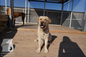 Hutamix-25-03-w24-089