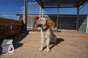 Hutamix-25-03-w24-090