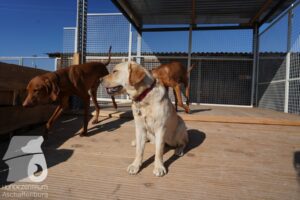 Hutamix-25-03-w24-091