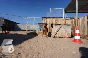 Hutamix-25-03-w24-092