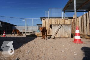 Hutamix-25-03-w24-093