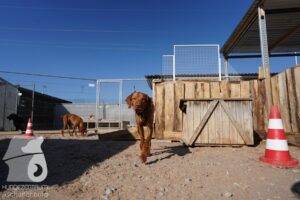 Hutamix-25-03-w24-094