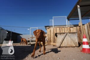 Hutamix-25-03-w24-095