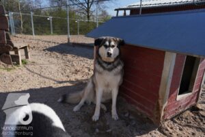 Hutamix-25-03-w24-096