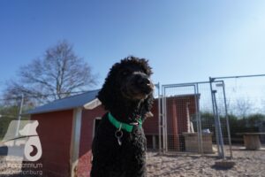 Hutamix-25-03-w24-097