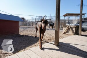 Hutamix-25-03-w24-098