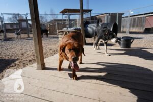 Hutamix-25-03-w24-099