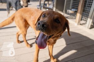 Hutamix-25-03-w24-100