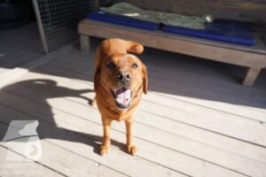 Hutamix-25-03-w24-101