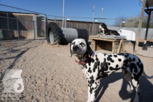 Hutamix-25-03-w24-102