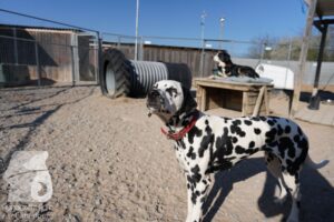 Hutamix-25-03-w24-103