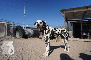 Hutamix-25-03-w24-104