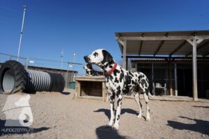 Hutamix-25-03-w24-105