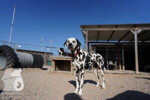 Hutamix-25-03-w24-106