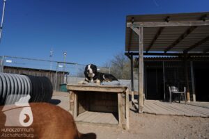 Hutamix-25-03-w24-107