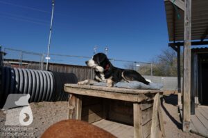 Hutamix-25-03-w24-108