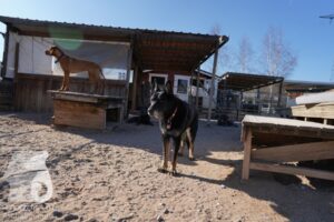 Hutamix-25-03-w24-109