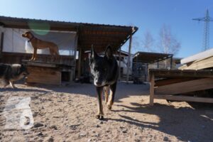 Hutamix-25-03-w24-110