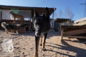 Hutamix-25-03-w24-111