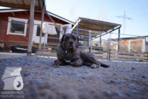 Hutamix-25-03-w24-112