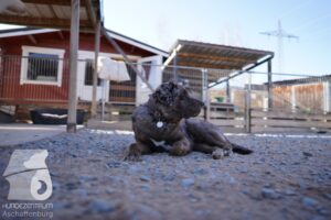 Hutamix-25-03-w24-113